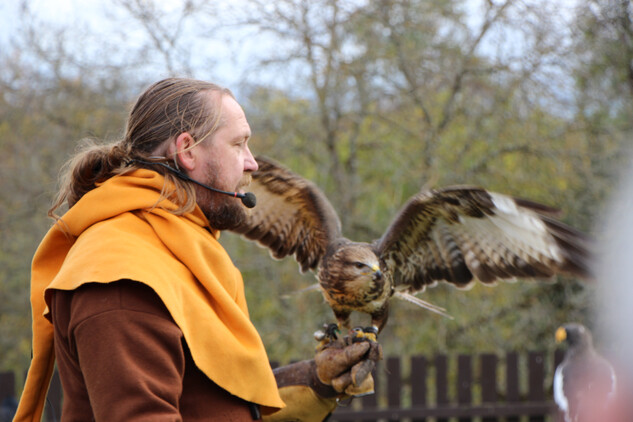 Sokolník Michal Procházka, Novohradské podzimní slavnosti 2025, nádvoří hradu Nové Hrady, správa hradu 